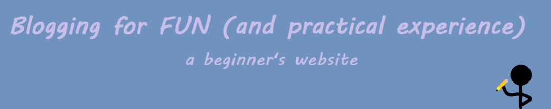 Blogging for FUN (a practical experience)